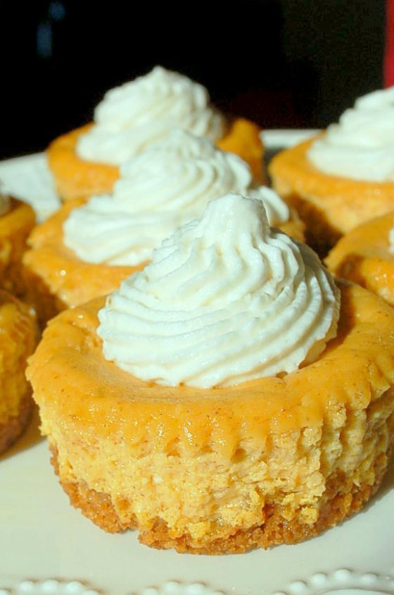 Pumpkin mini cheesecakes